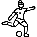 柳琴果